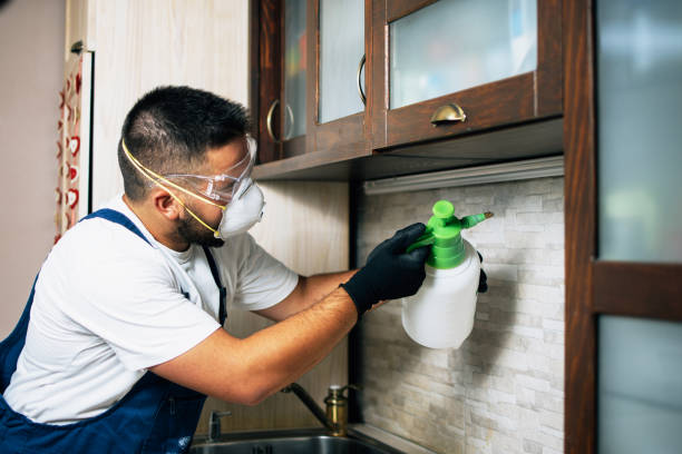 Best Best Pest Control Companies  in Ware Shoals, SC
