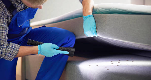 Pest Prevention Services in Ware Shoals, SC