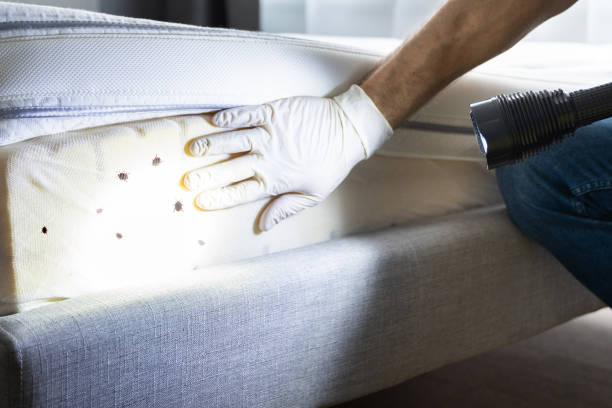 Best Residential Pest Control  in Ware Shoals, SC