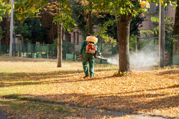Best Mosquito Control Services  in Ware Shoals, SC