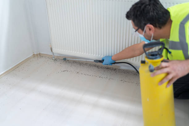 Best Local Pest Control Services  in Ware Shoals, SC